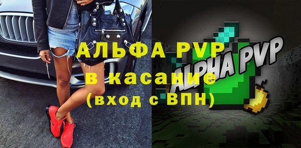 винт Алексин