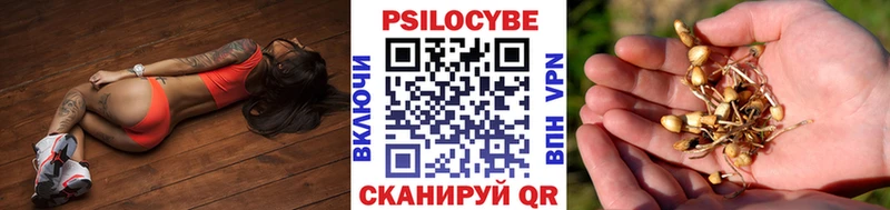 Псилоцибиновые грибы мицелий  продажа наркотиков  Туринск 